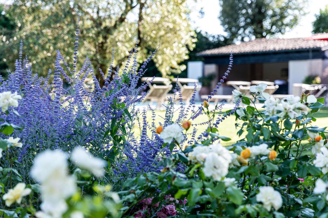 Il Mulino Relais Piacenza Ξενοδοχείο Εξωτερικό φωτογραφία